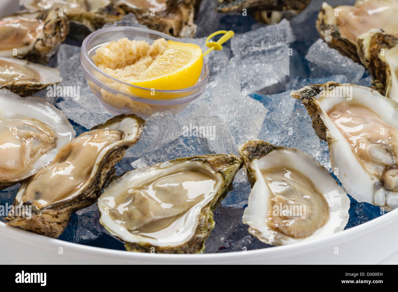 Raw Oysters served on the half shell over ice. Stock Photo