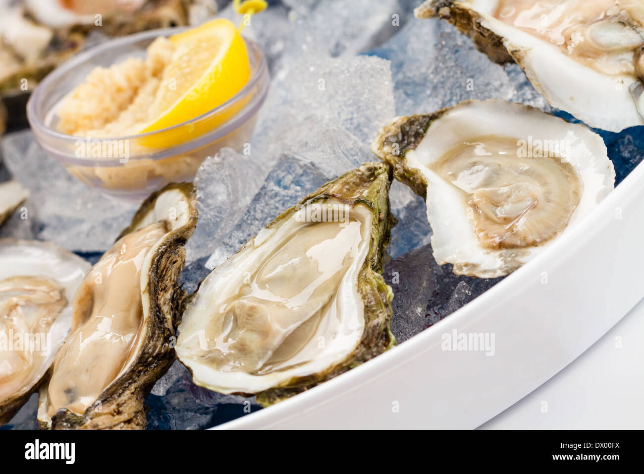 Raw Oysters served on the half shell over ice. Stock Photo