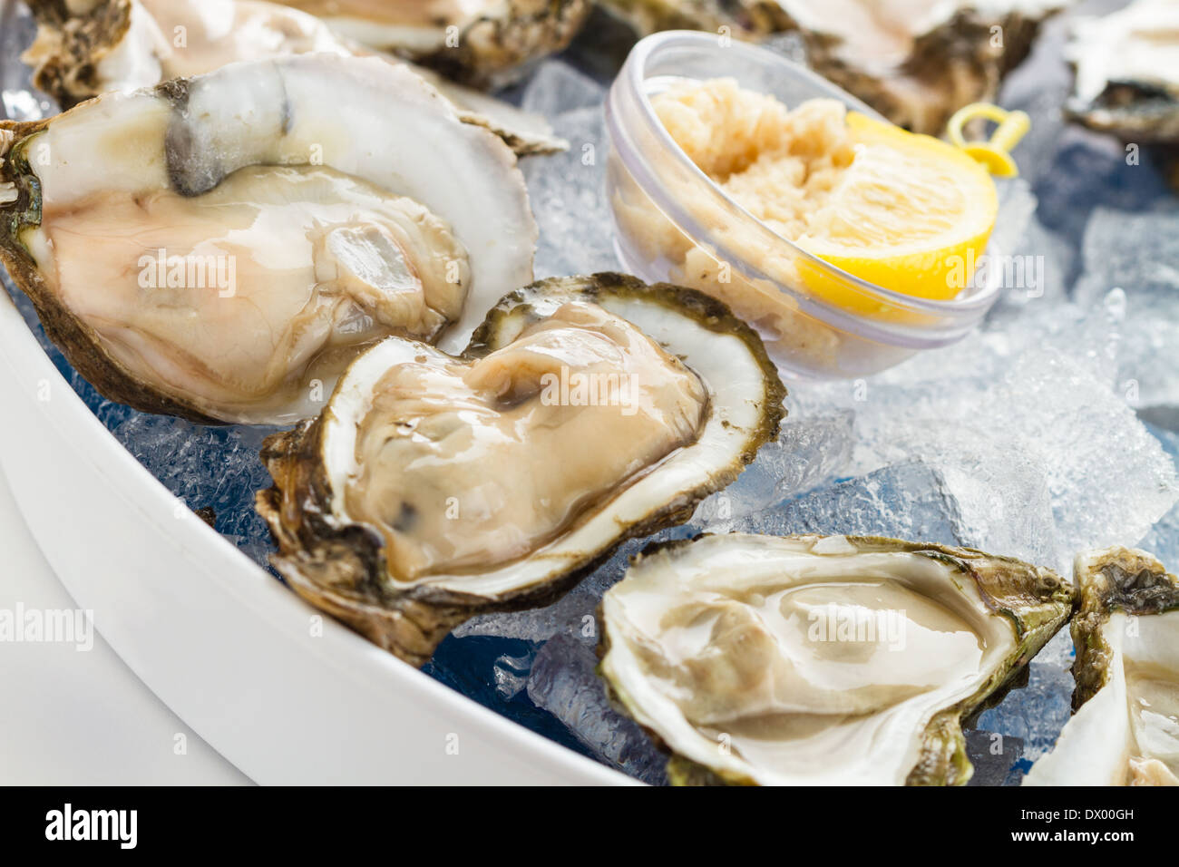 Raw Oysters served on the half shell over ice. Stock Photo