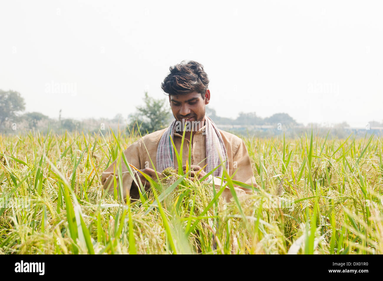 1 Indian Farmer Standing in Farm Stock Photo - Alamy