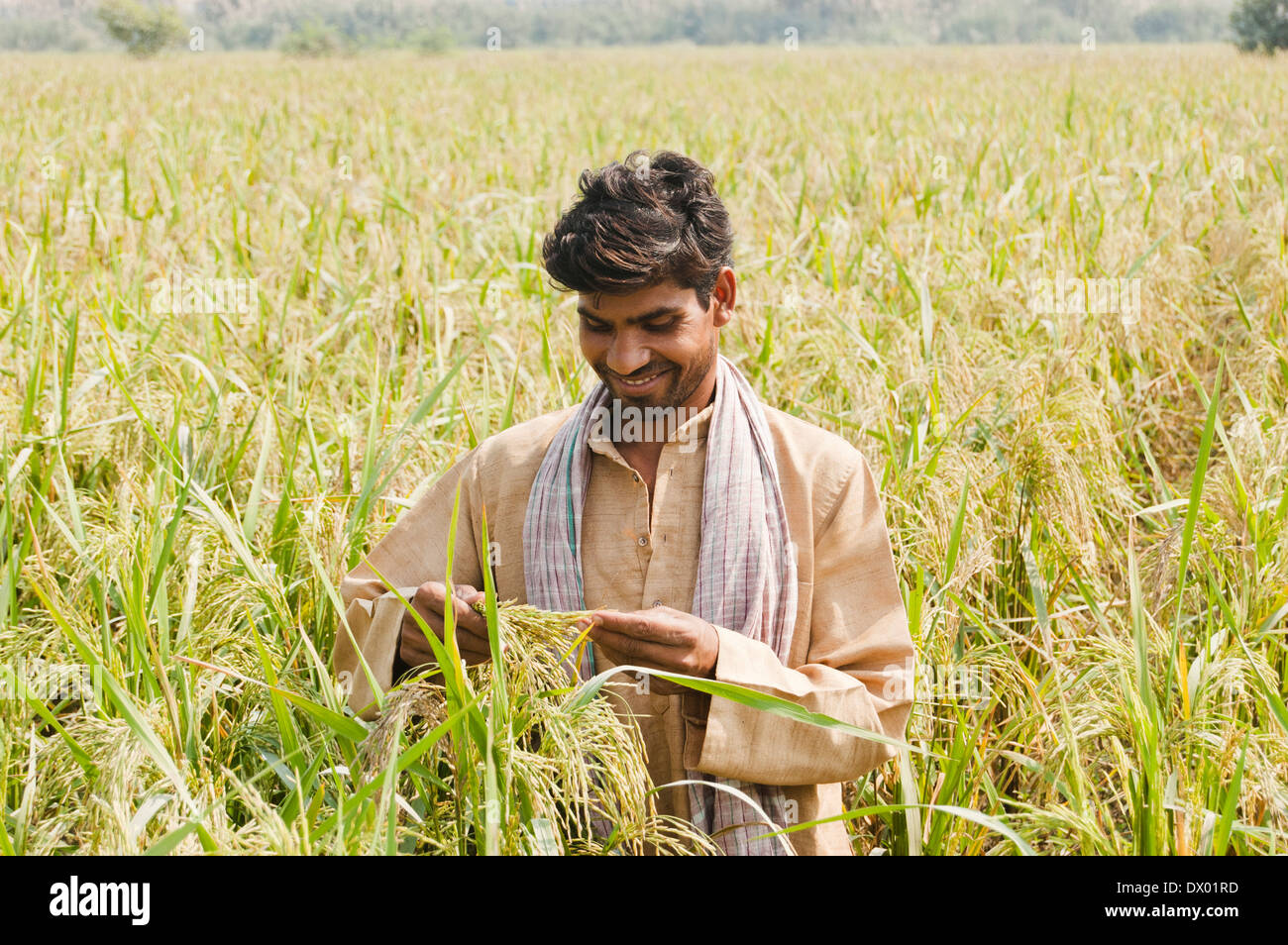 1 Indian Farmer Standing in Farm Stock Photo - Alamy