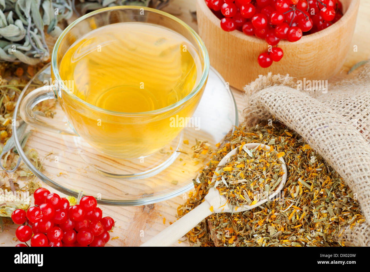cup of herbal tea, medicinal herbs and healthy berries on table Stock Photo