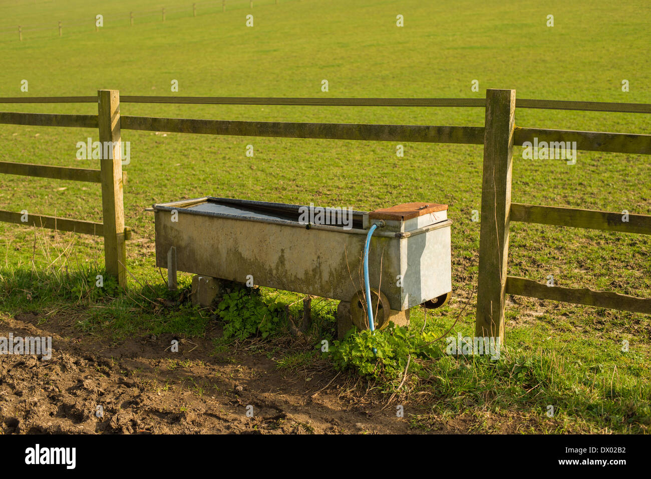 Cattle drinking trough at the side of a field in Hertfordshire, England