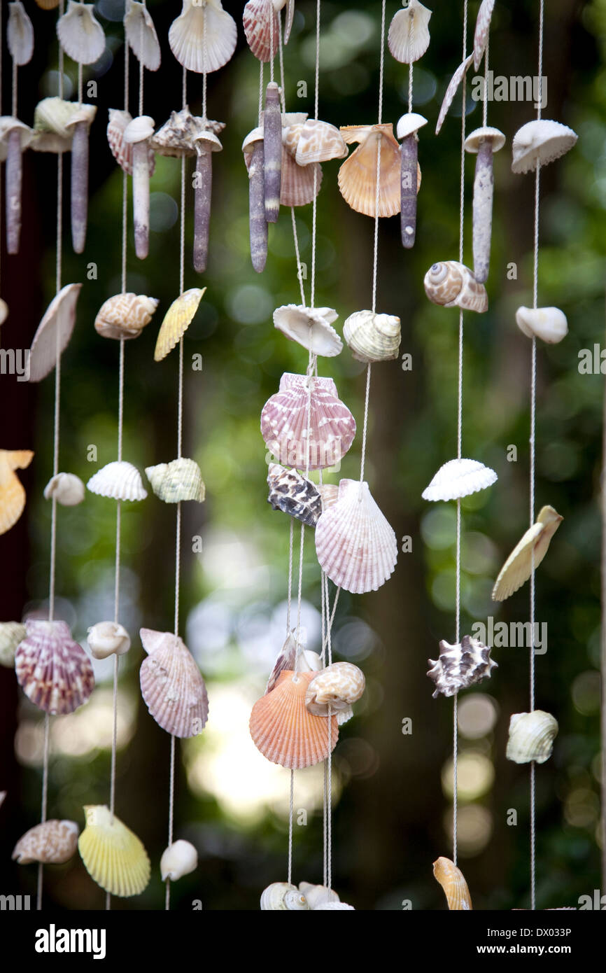 Shell decoration hi-res stock photography and images - Alamy