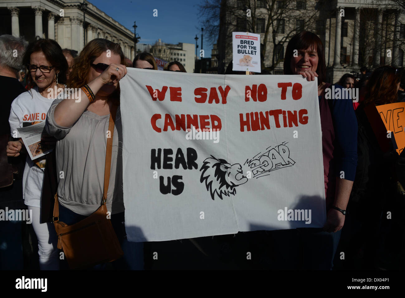 Lion hunting protest south africa hi-res stock photography and images ...