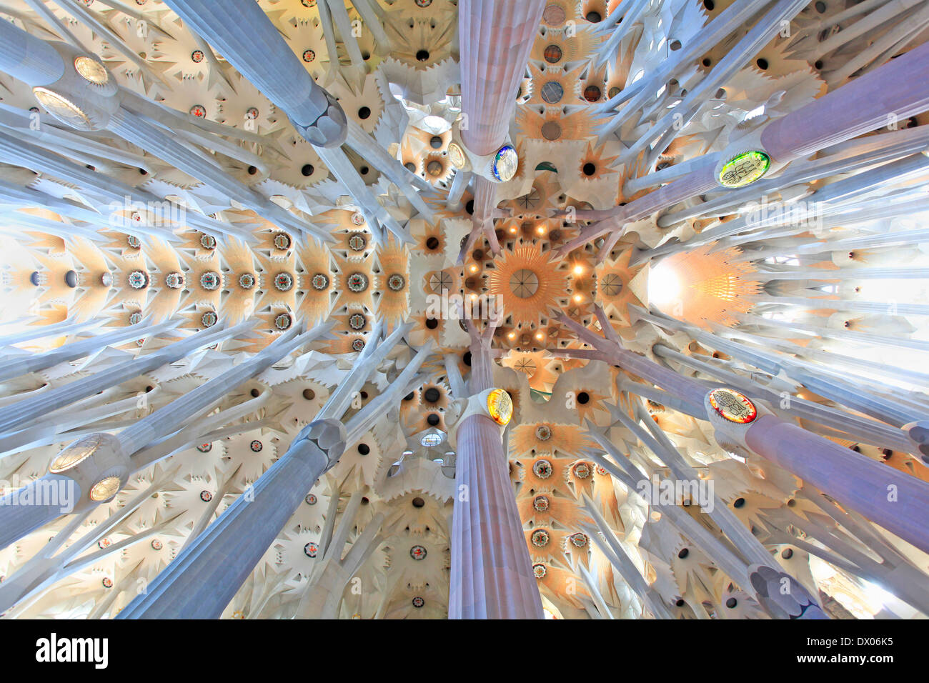 La Sagrada Familia The Ceiling Of The Cathedral Designed By Gaudi 