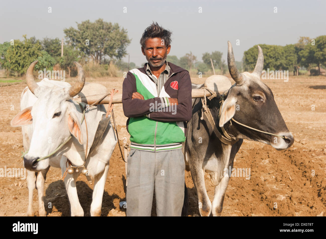Indian farmer standing in soil hi-res stock photography and images - Alamy