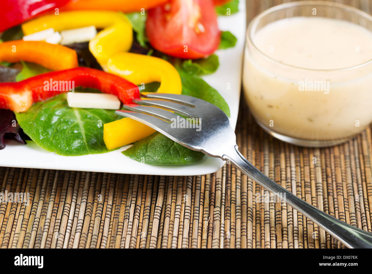 Horizontal photo of stainless steel fork with dressing and salad in background Stock Photo