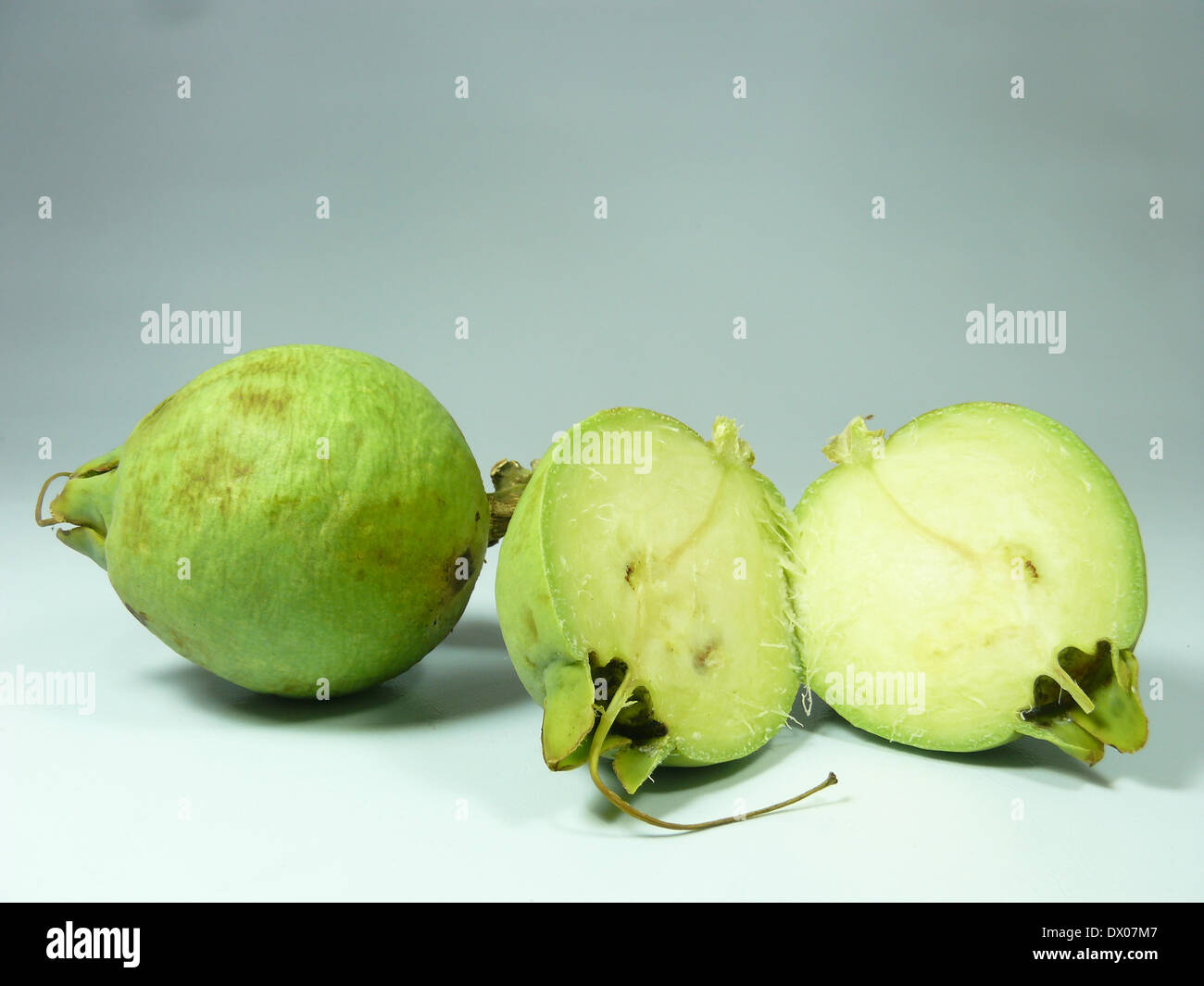 Fruits of Careya arborea Roxb, Careya arborea Stock Photo