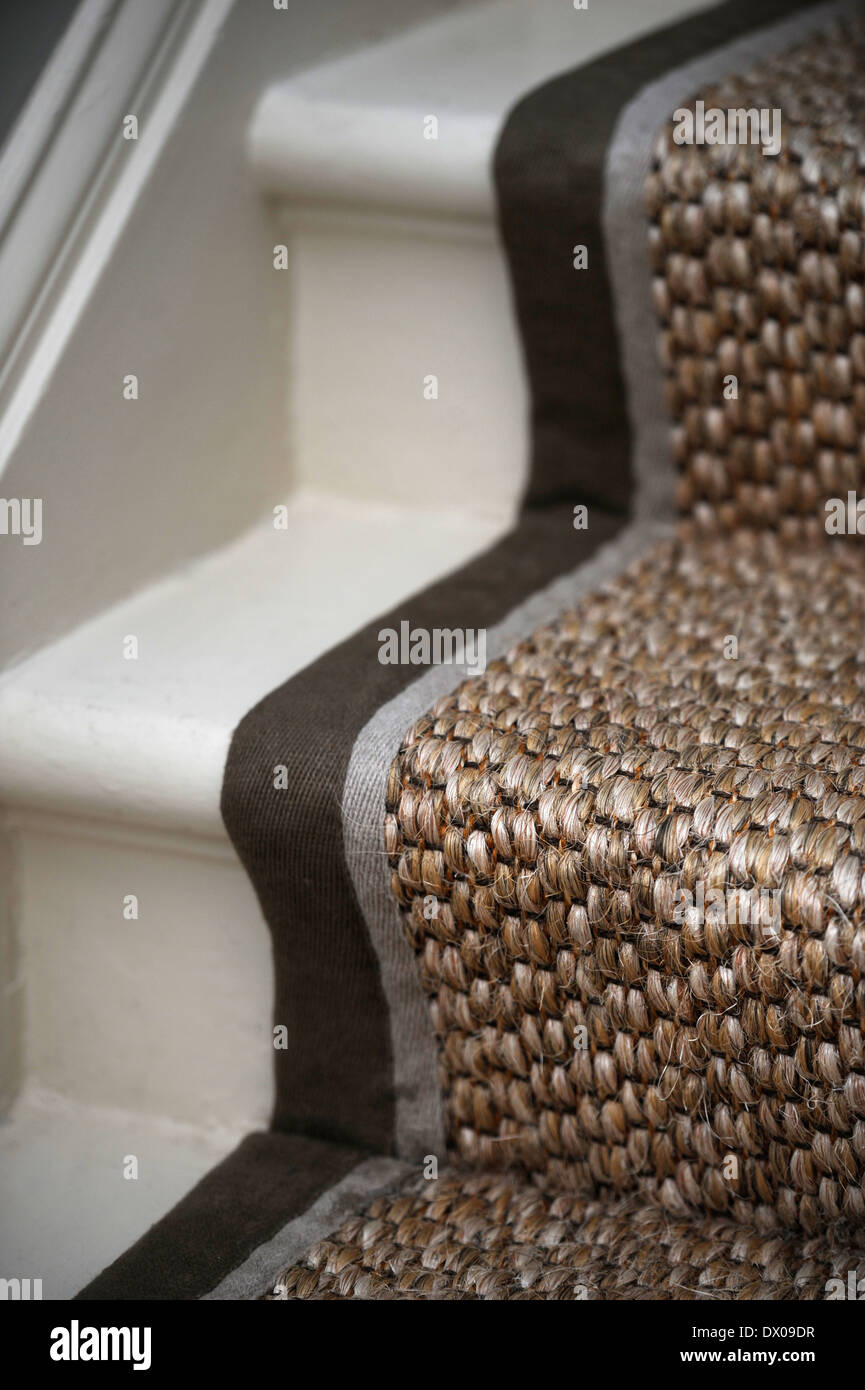 Seagrass carpet hi-res stock photography and images - Alamy, image size:865x1390