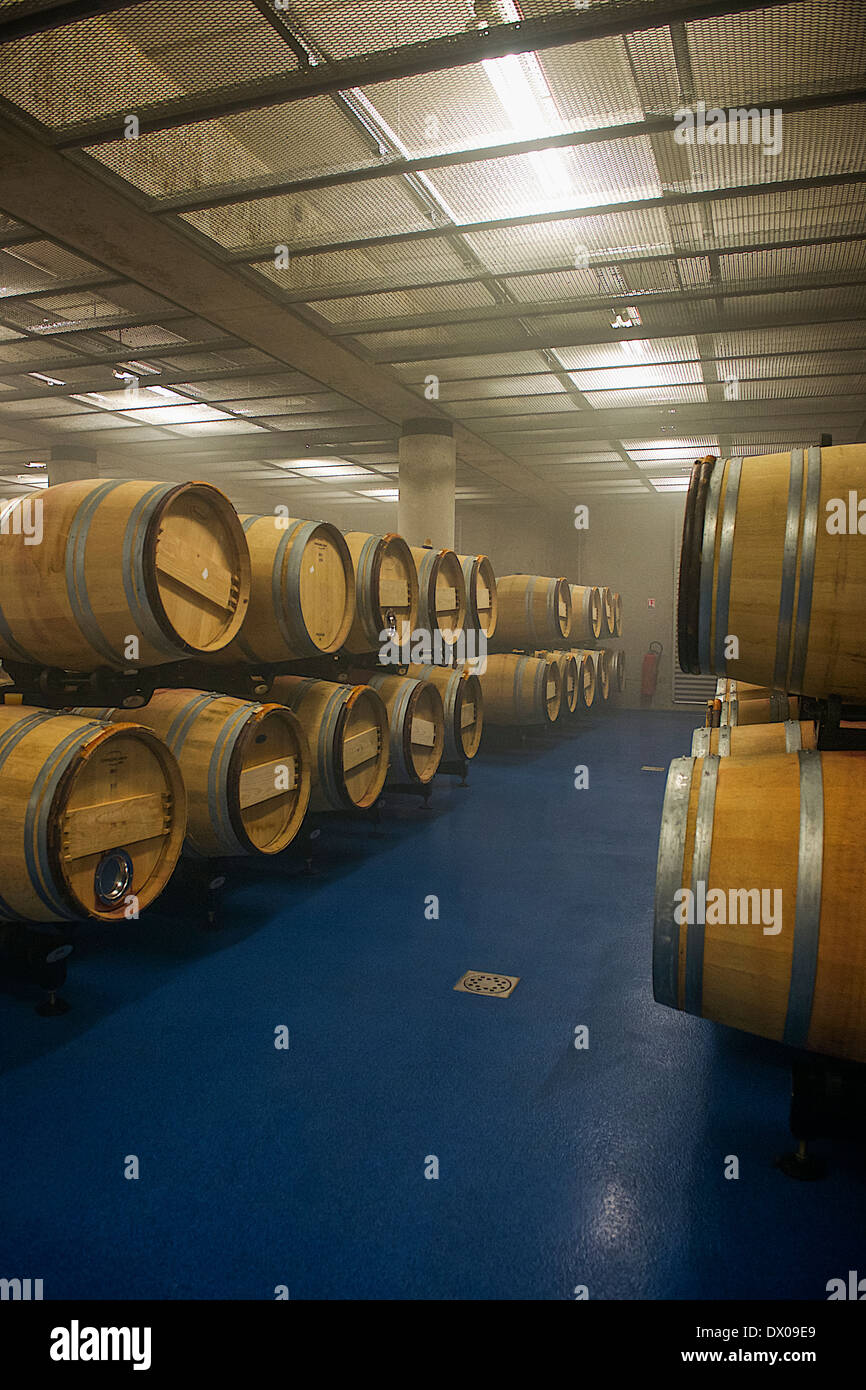 Barrels in winery Stock Photo