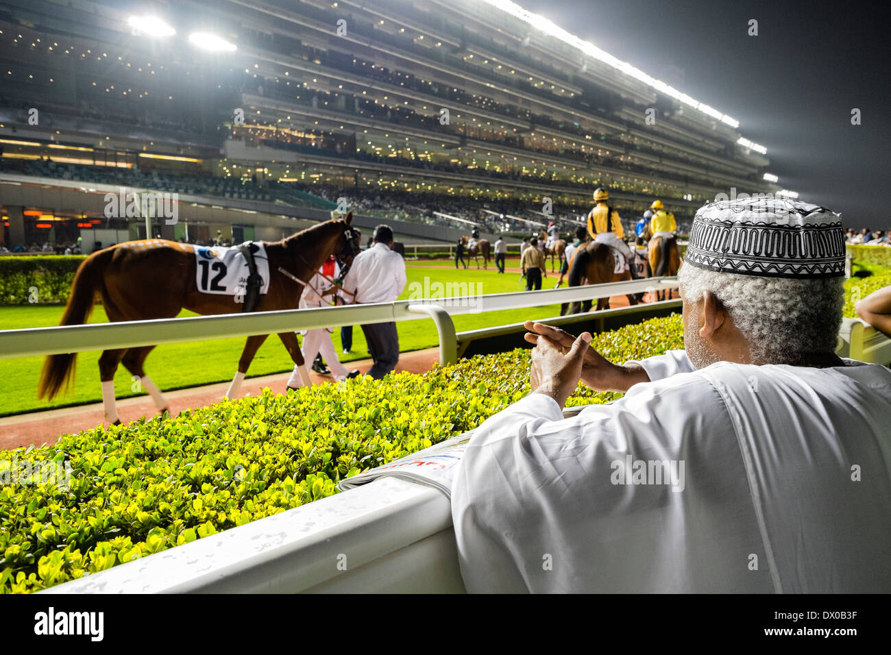 Parade ring at horse racing meeting at Al Meydan racecourse at night in Dubai United Arab Emirates Stock Photo
