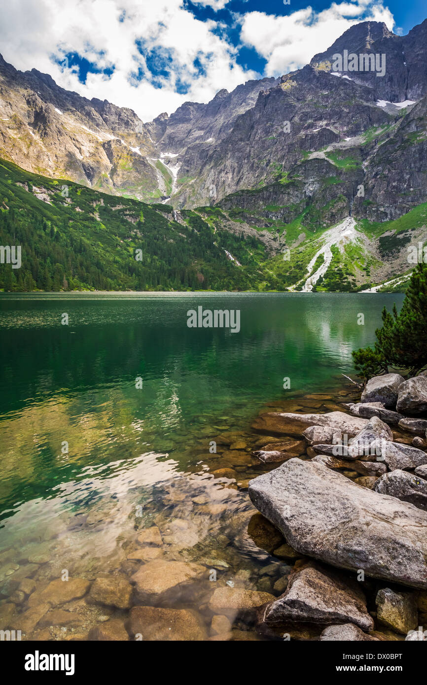 Beautiful forest lake in summer hi-res stock photography and images - Alamy