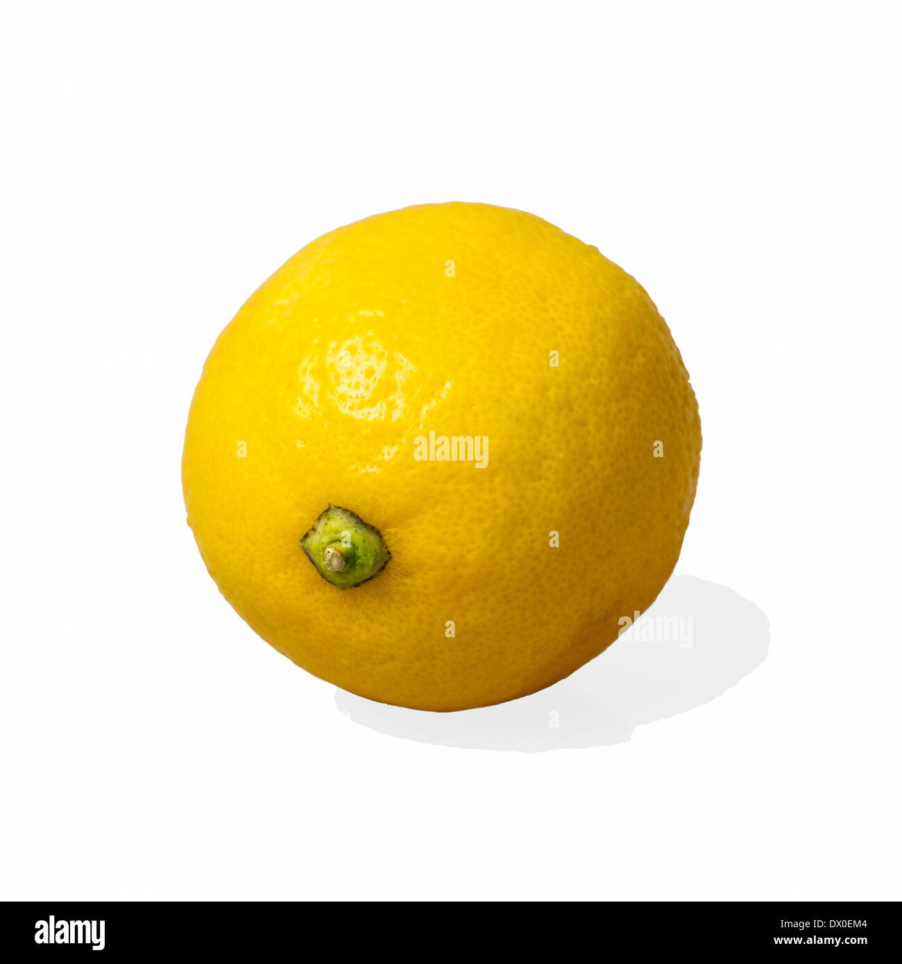 Yellow lemon citrus fruit isolated against white background. Square format photography. Stock Photo
