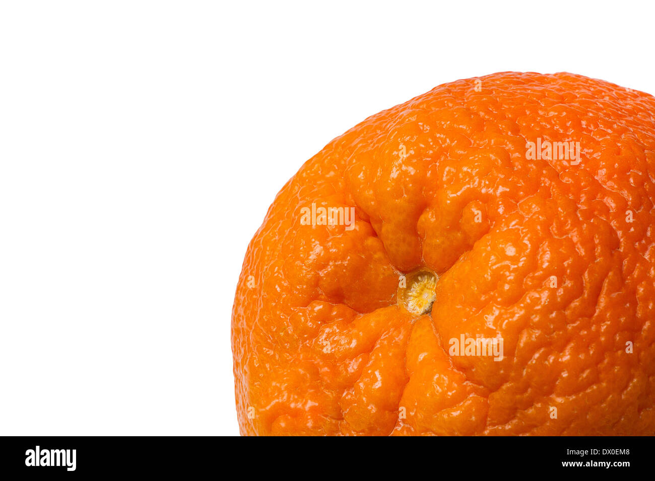 Part of the whole orange citrus fruit isolated against white background. Macro photography. Free space to enter text. Stock Photo
