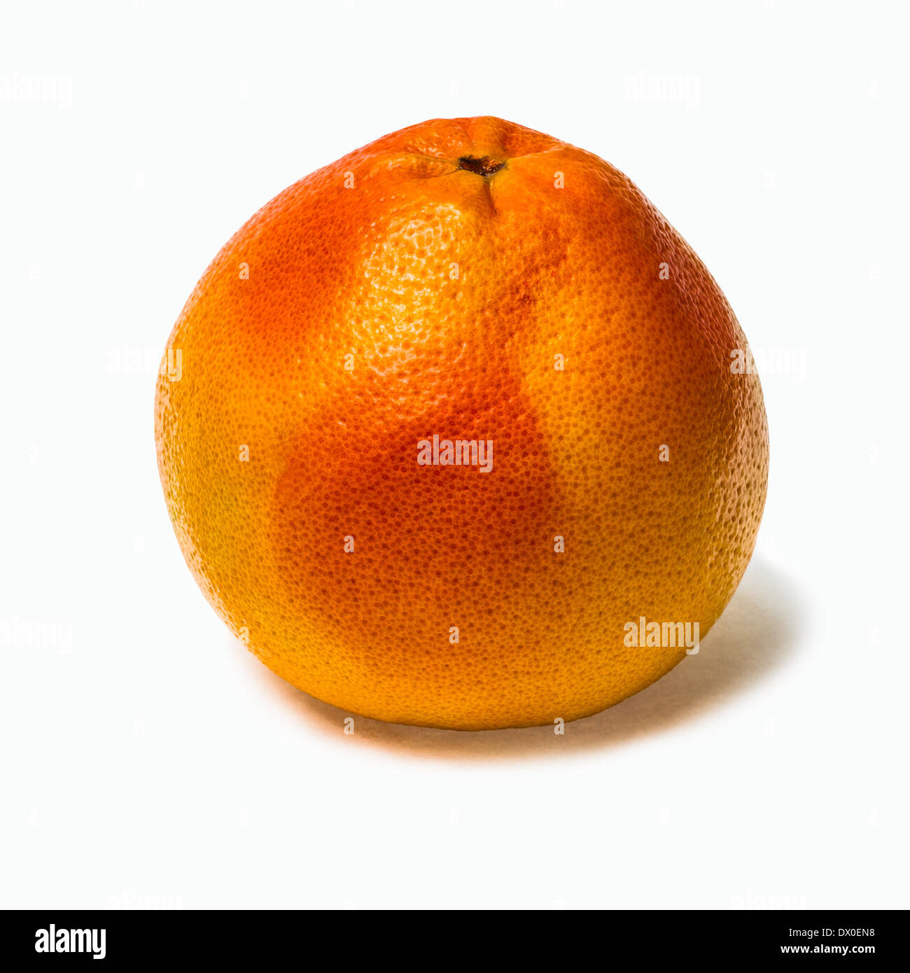 Grapefruit of bright orange color isolated against white background