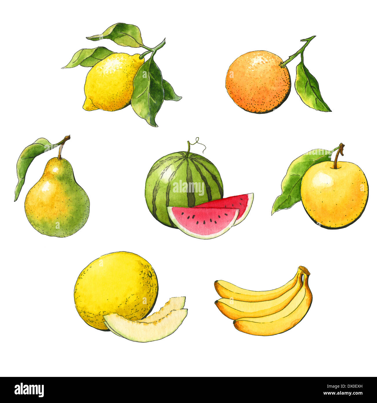 Watercolor set fruit on a white background Stock Photo - Alamy