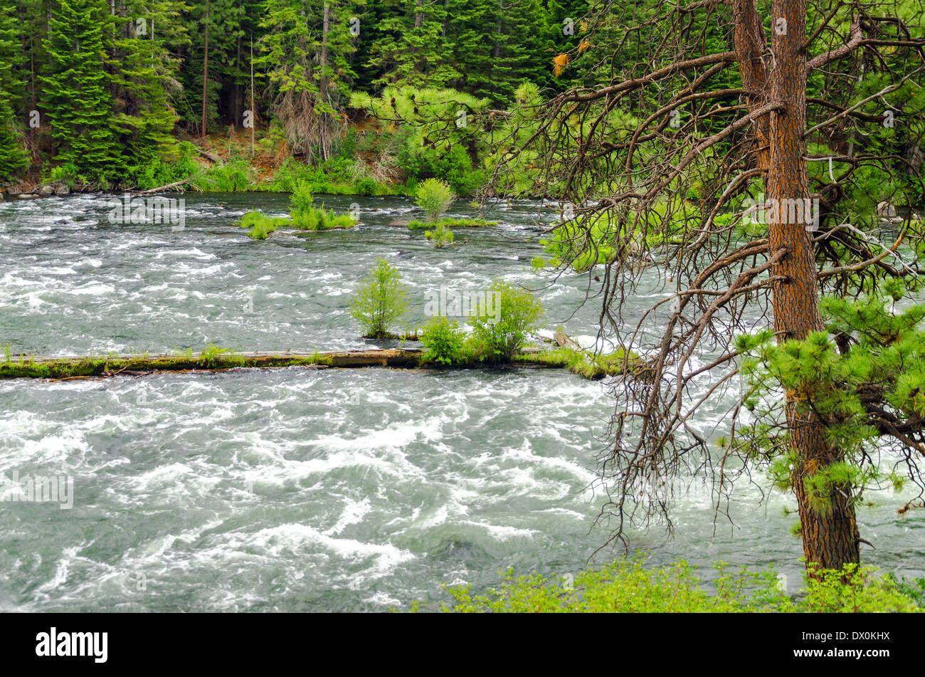 Deschutes river hires stock photography and images Alamy