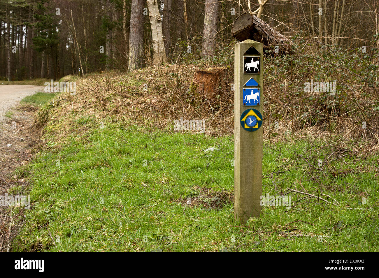 Sign along trail, Newborough Forest, Anglesey, for horse riders and walkers Stock Photo