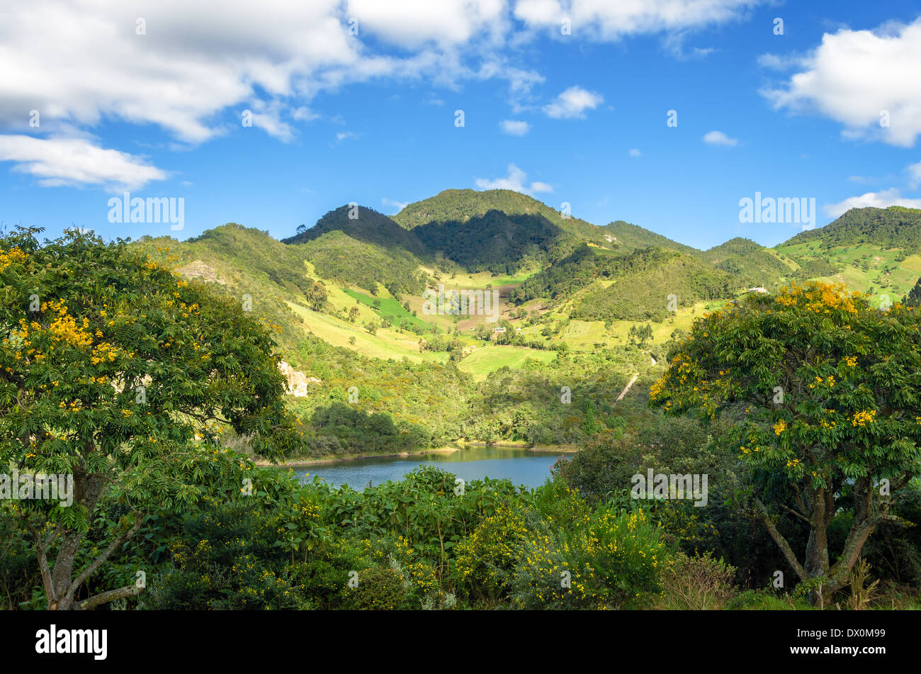 Lush green hills hi-res stock photography and images - Alamy