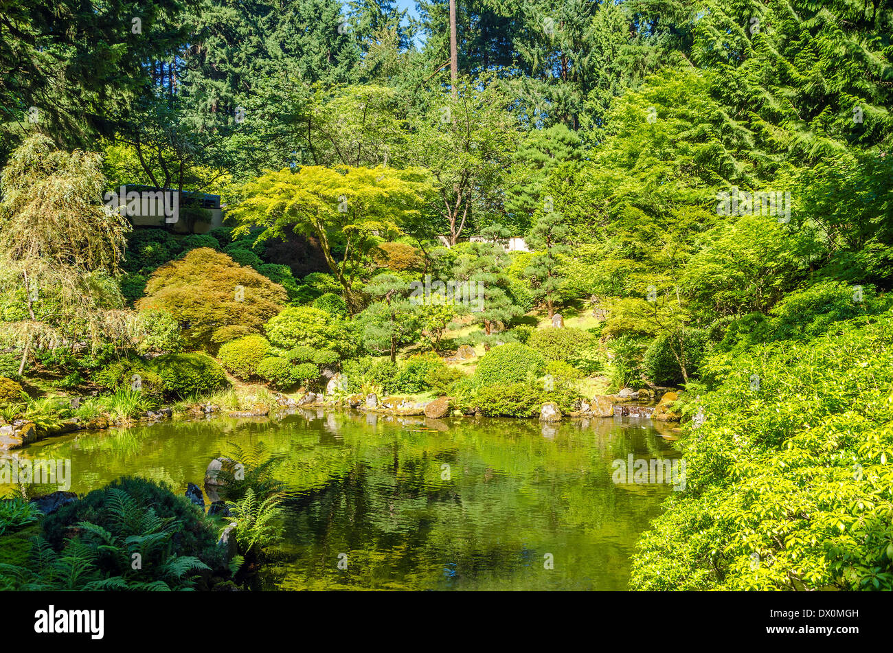 Lush green Japanese Garden and pond in Portland, Oregon Stock Photo