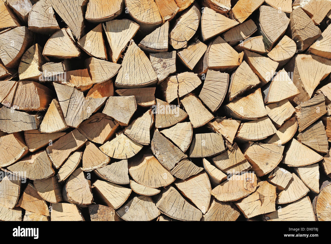 Cross section of tree trunks as a wooden background Stock Photo - Alamy