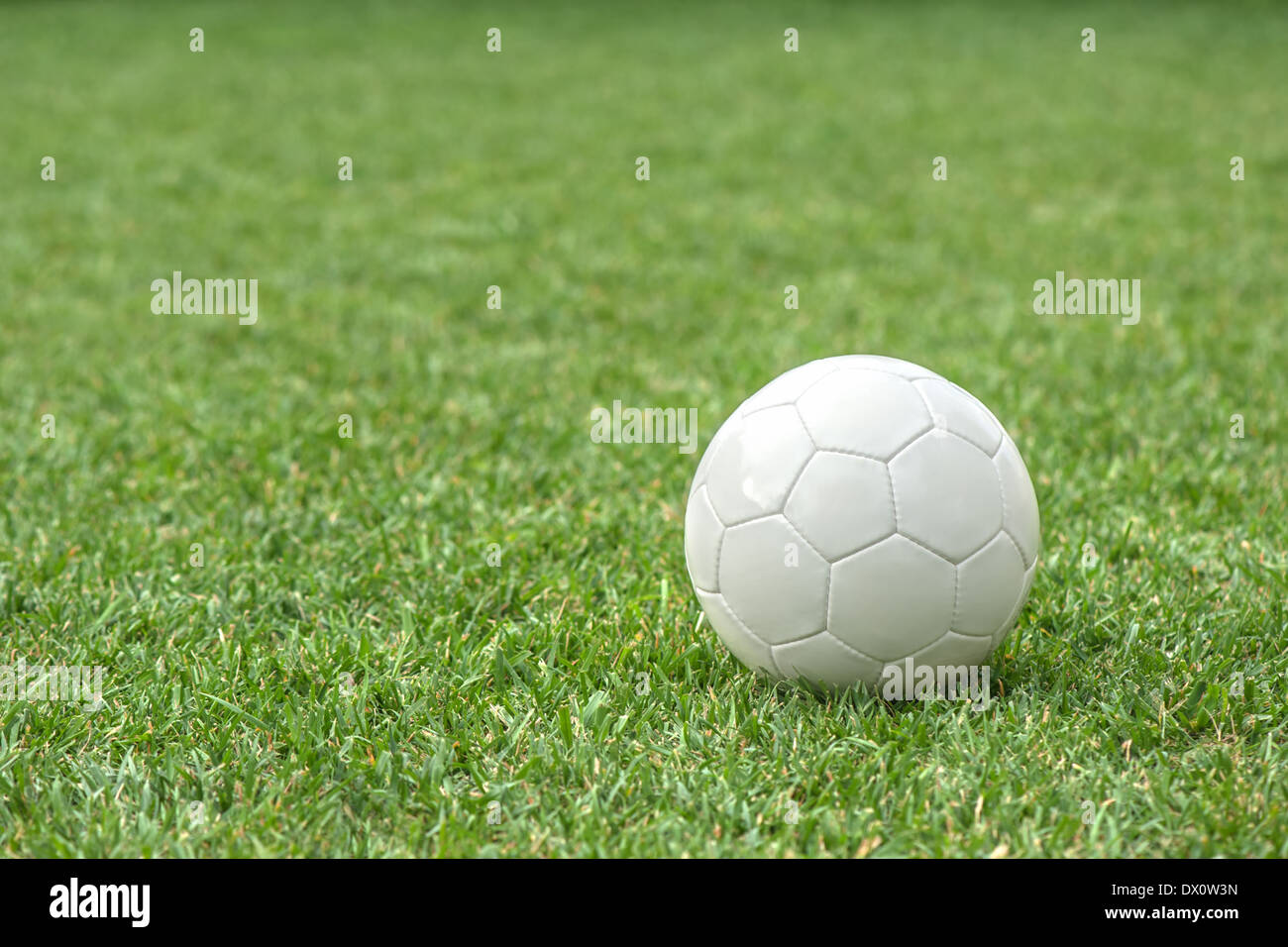 white soccer ball on green grass Stock Photo