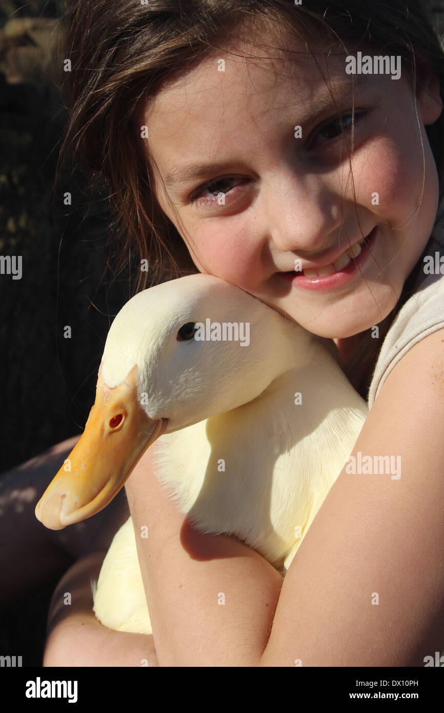 Young caucasian girl hugging her tame pet pekin duck (Anas platyrhynchos domestica or Anas peking) , UK, England Stock Photo
