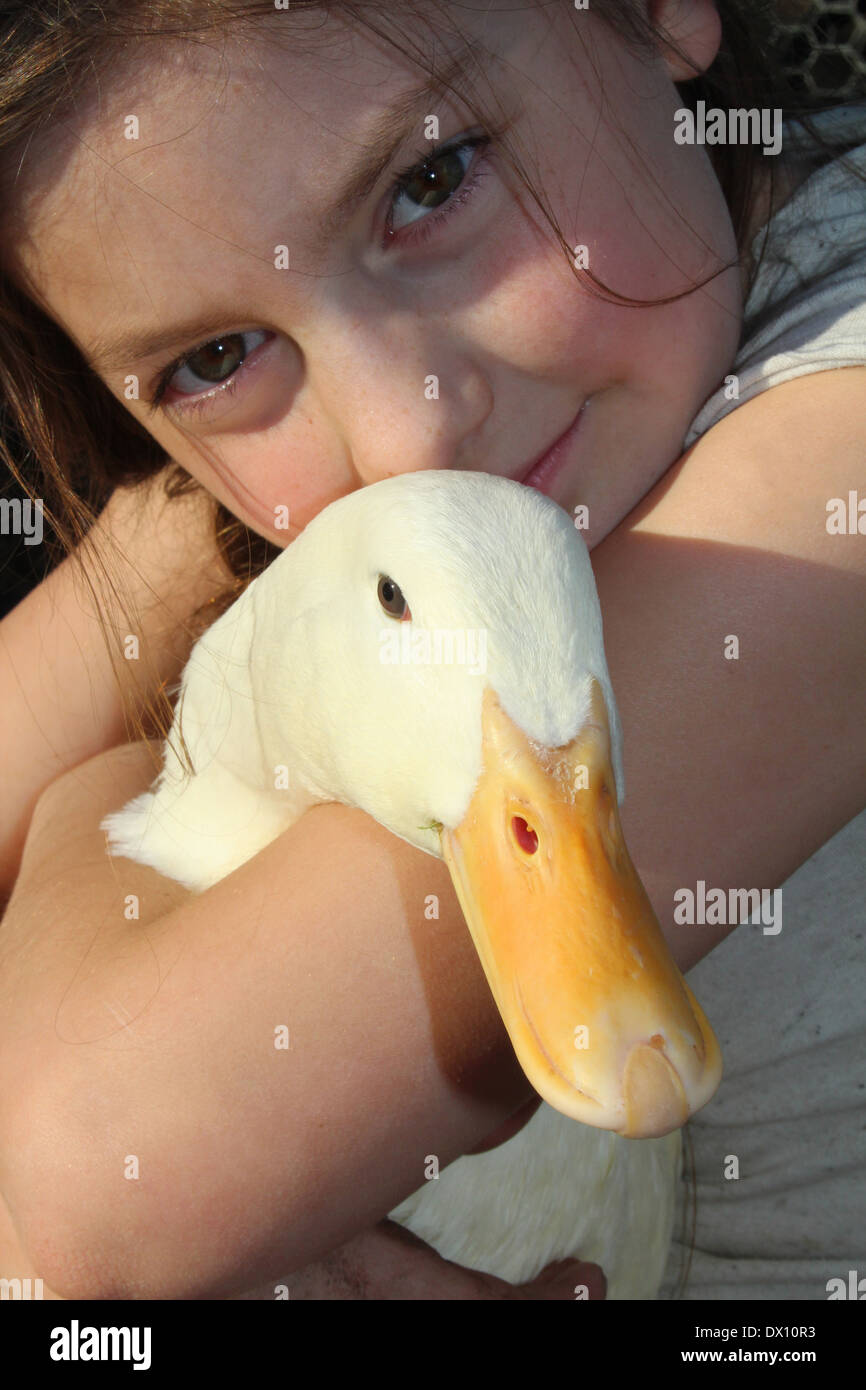 Young caucasian girl hugging her tame pet pekin duck (Anas platyrhynchos domestica or Anas peking) UK, England Stock Photo