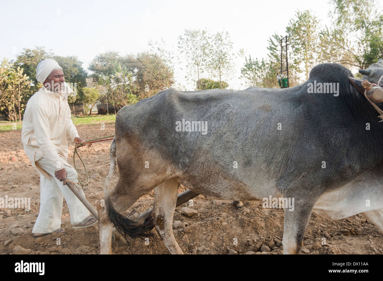 Indian farmer standing in soil hi-res stock photography and images - Alamy