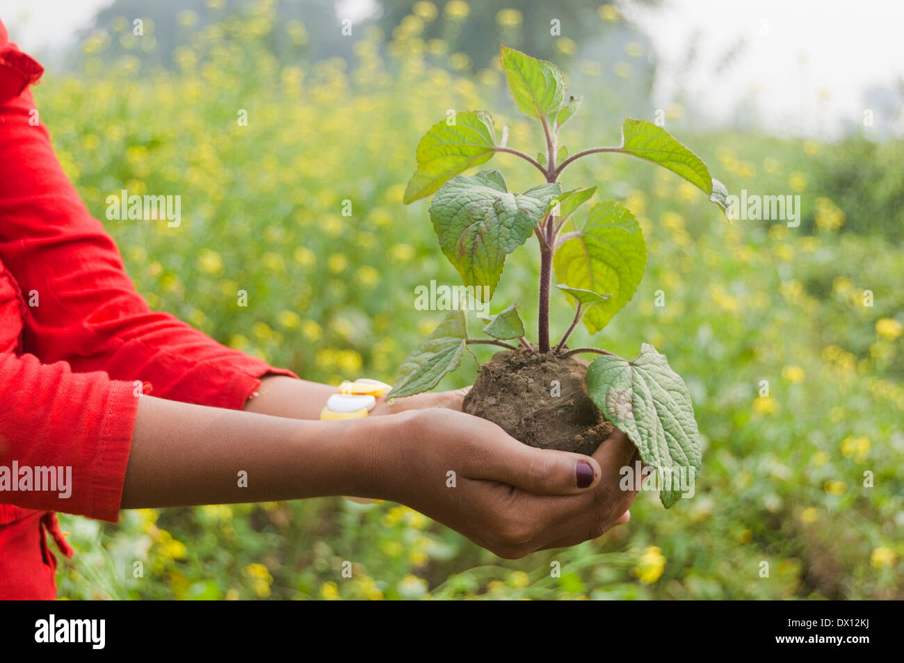 1 Indian Rural Kids standing with Plant Stock Photo - Alamy