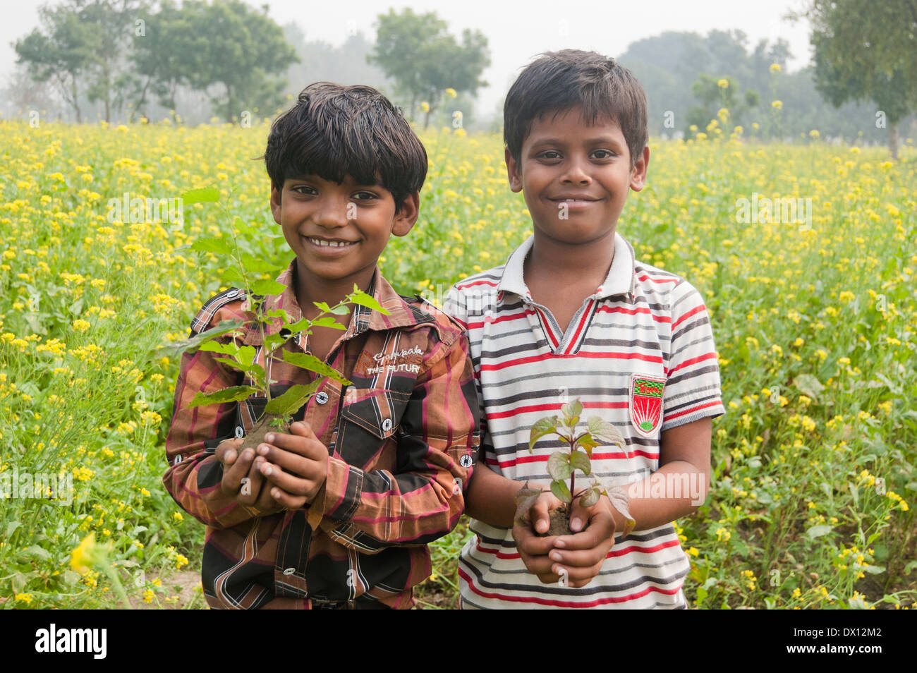 Indian Rural Kids standing with Plant Stock Photo - Alamy