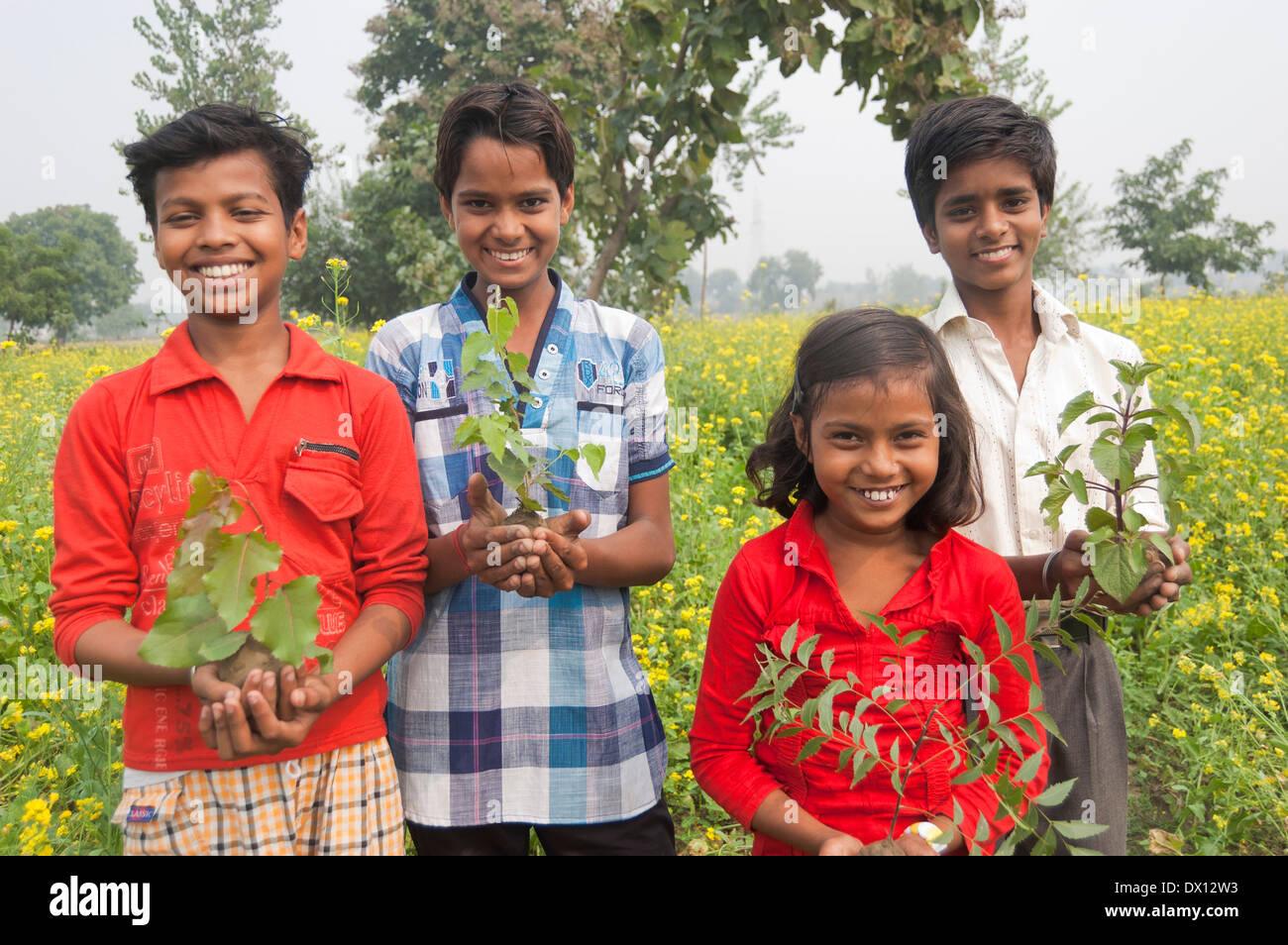 Indian Rural Kids standing with Plant Stock Photo - Alamy