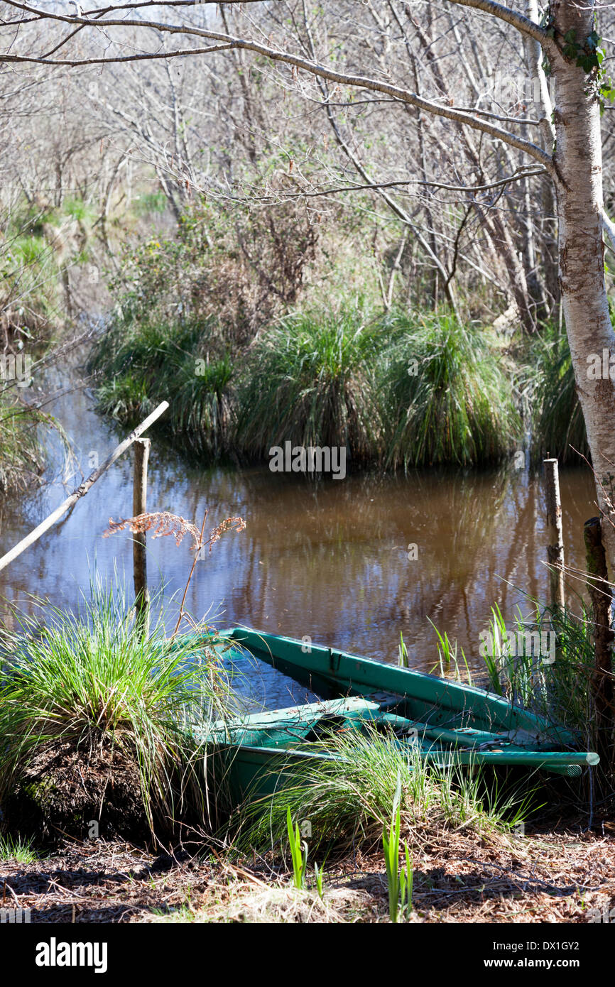 The shallow outlying marshes of the Leon pond (France); only a flat-bottomed small boat allows to circulate through them. Stock Photo