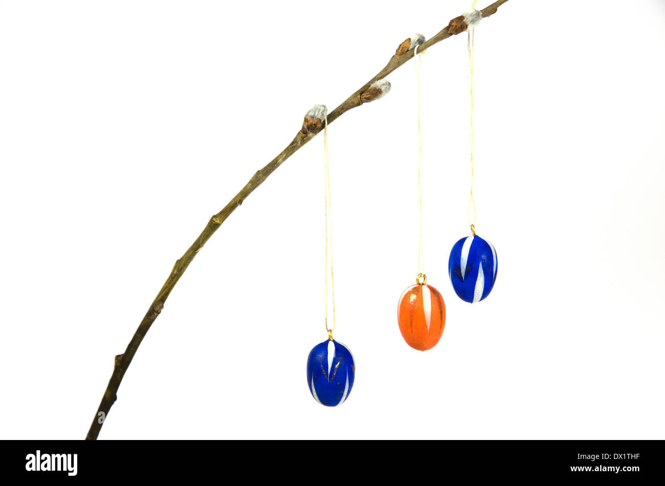 Coloured easter eggs decoration hanging in a twig and isolated on white Stock Photo