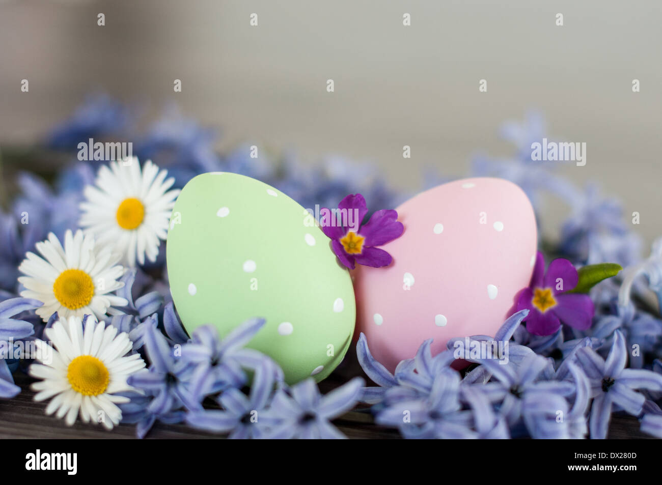Spring in Easter- two Easter eggs- pink and green polka-dot and different spring flowers. Stock Photo