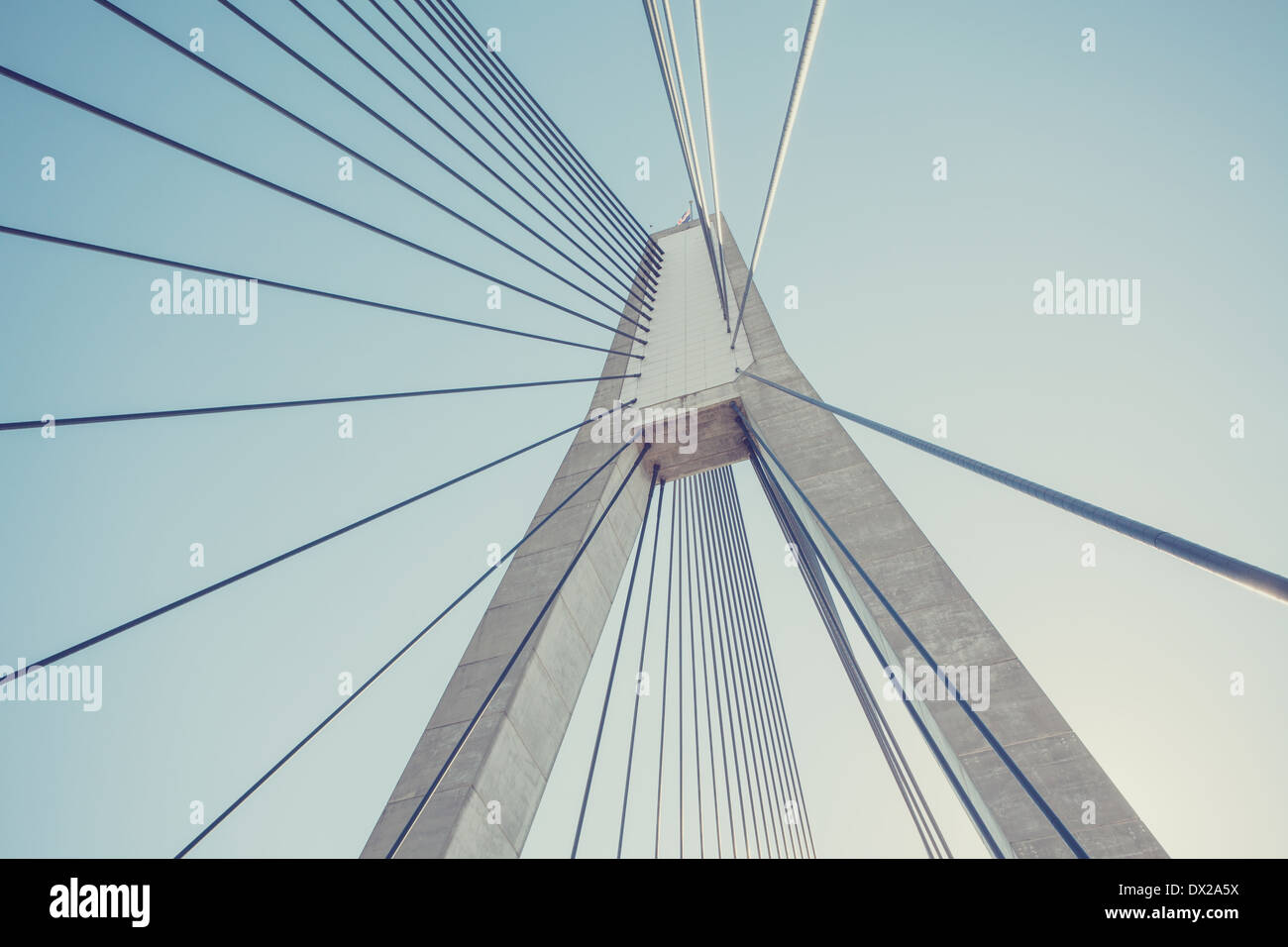 The Anzac Bridge in Sydney showing detail of the suspension uprights and suspension cables. Stock Photo