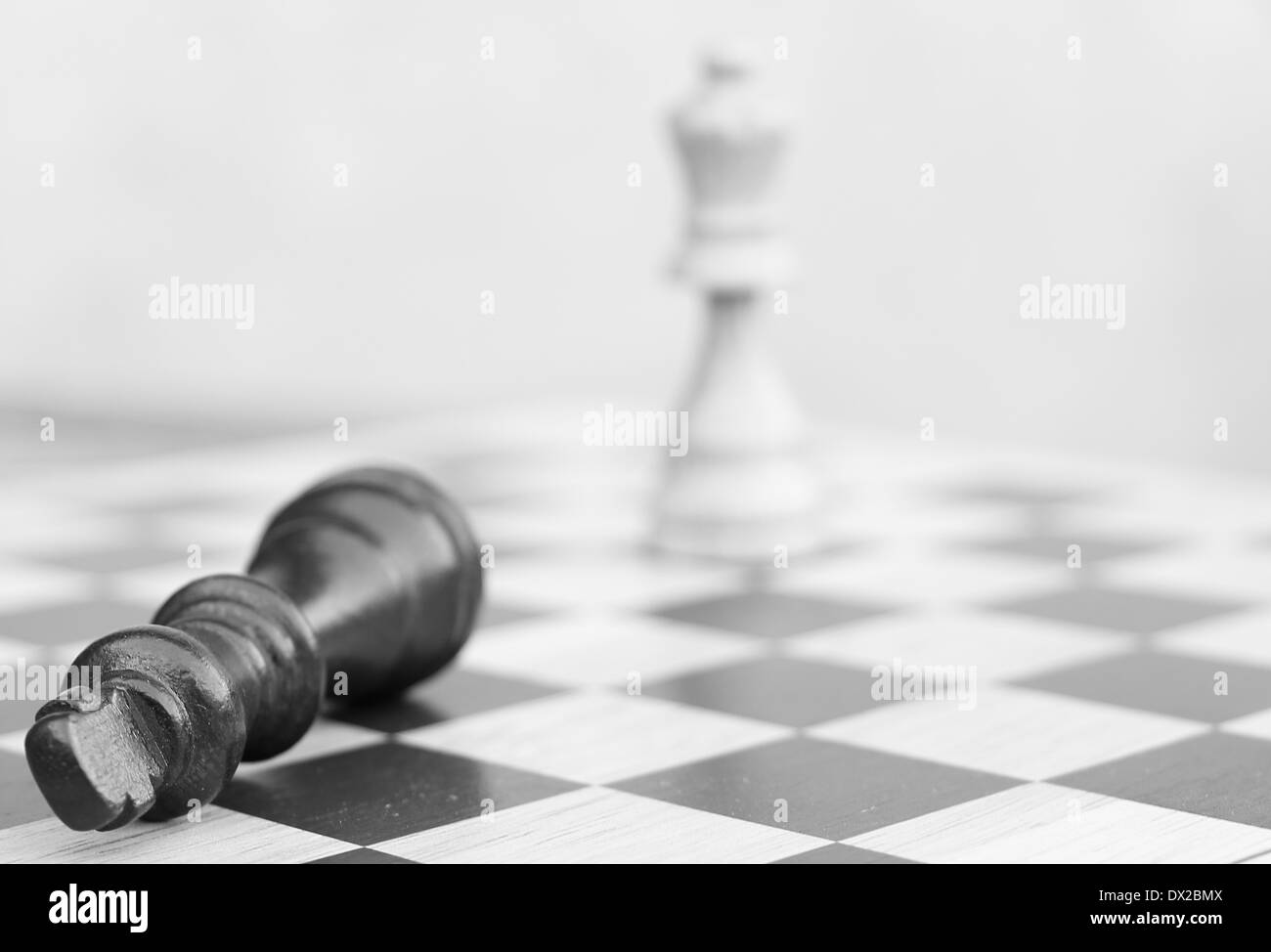 Chess King Queen On Chess Board Stock Photo 97519331