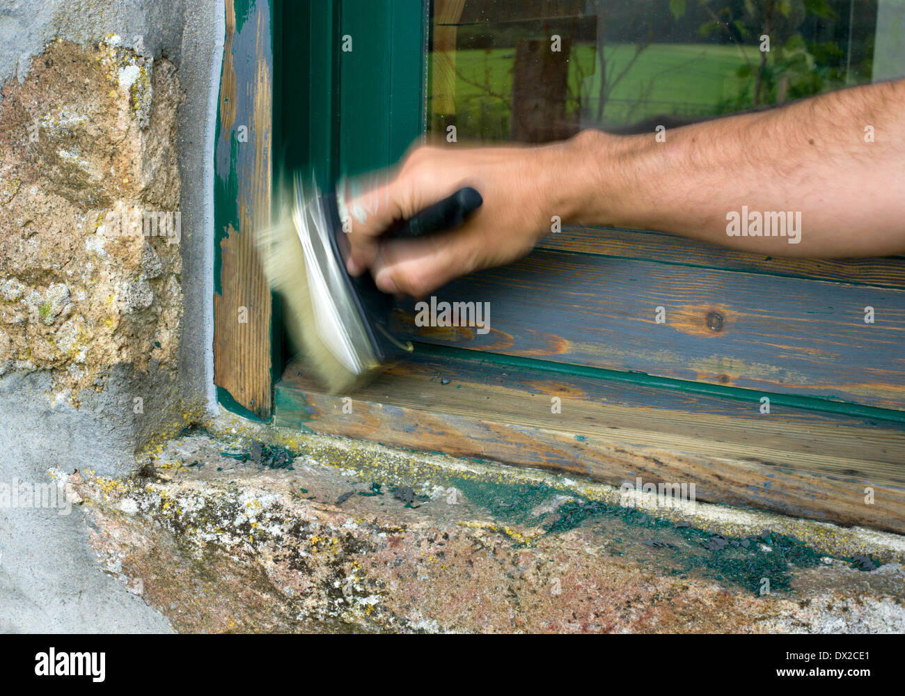 brushing flakes of paint and debris after after sanding a sash window down to bare wood in