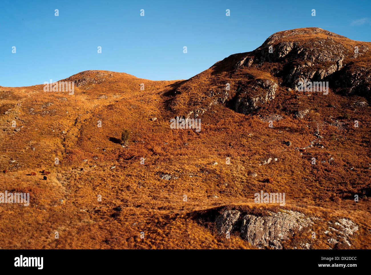 Scottish wilderness near Poolewe, Scottish Highlands Stock Photo Alamy