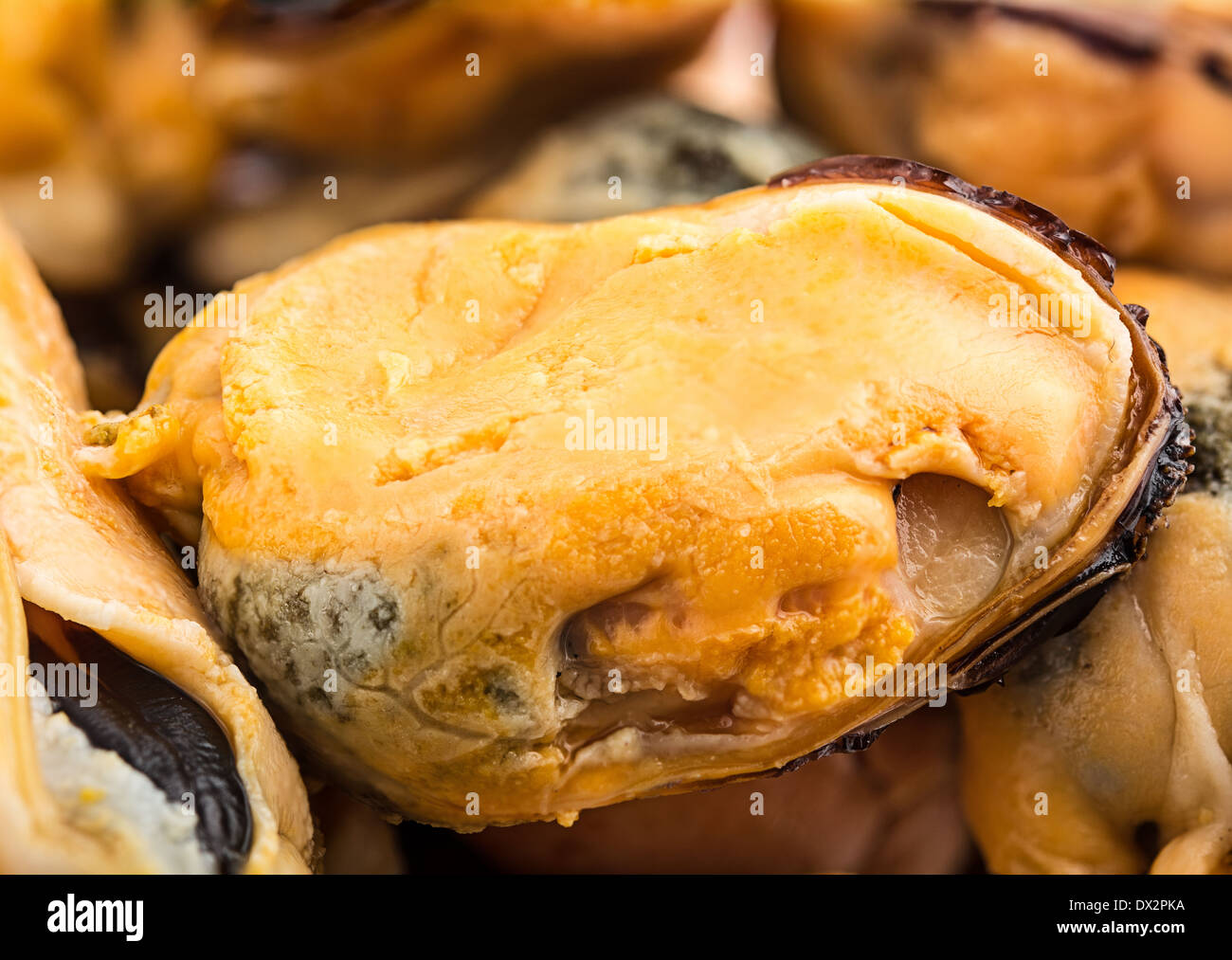Smoked Mussels (Macro)image collected from a few photos for larger