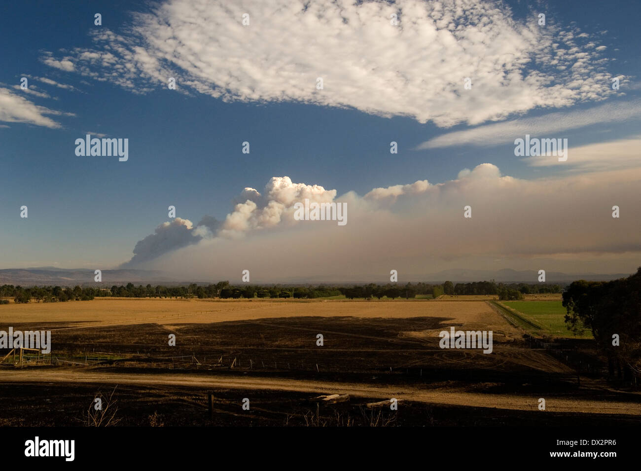 pyrocumulus smoke cloud rising from bushfire Australia Stock Photo