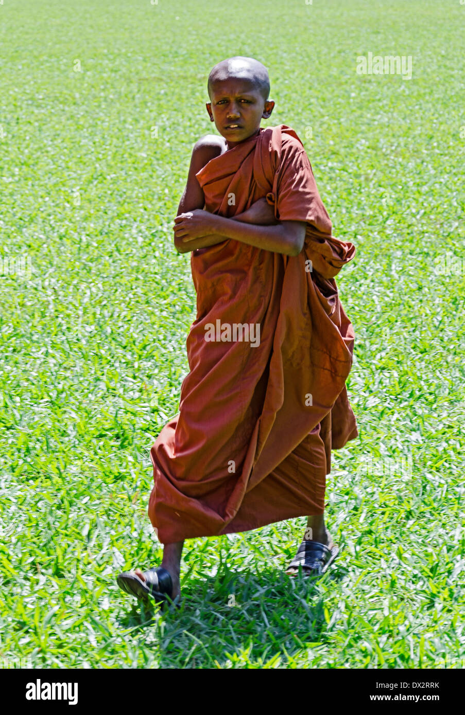 KANDY, SRI LANKA - DEC 08: young Buddhist monk, Kandy, Sri Lanka , Dec 08, 2011 Stock Photo