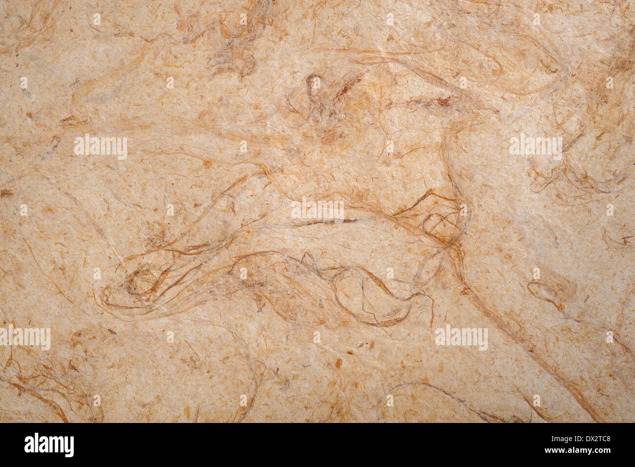 Pineapple fiber paper Stock Photo Alamy