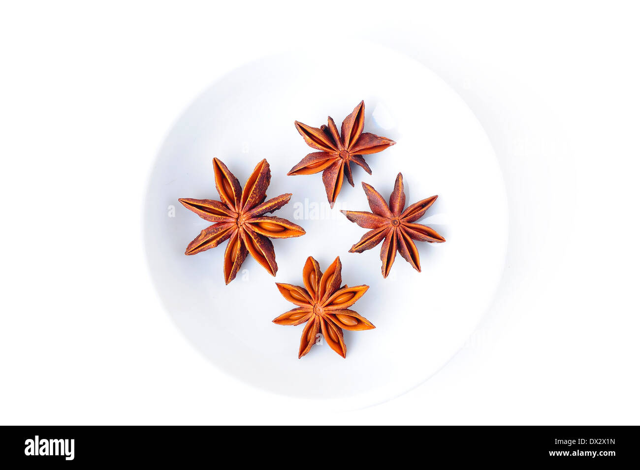 star anise on white Stock Photo