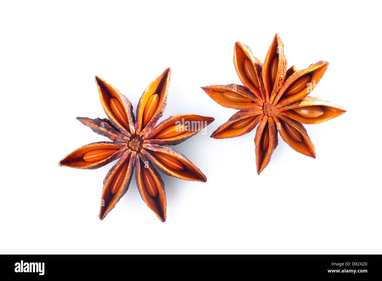 star anise on white background Stock Photo