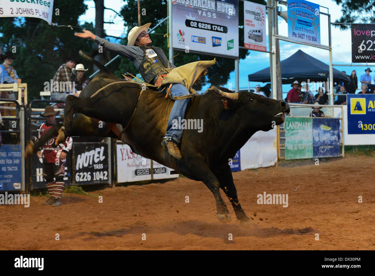 Canberra, Australia. 15th Mar, 2014. A rider participates in a bull