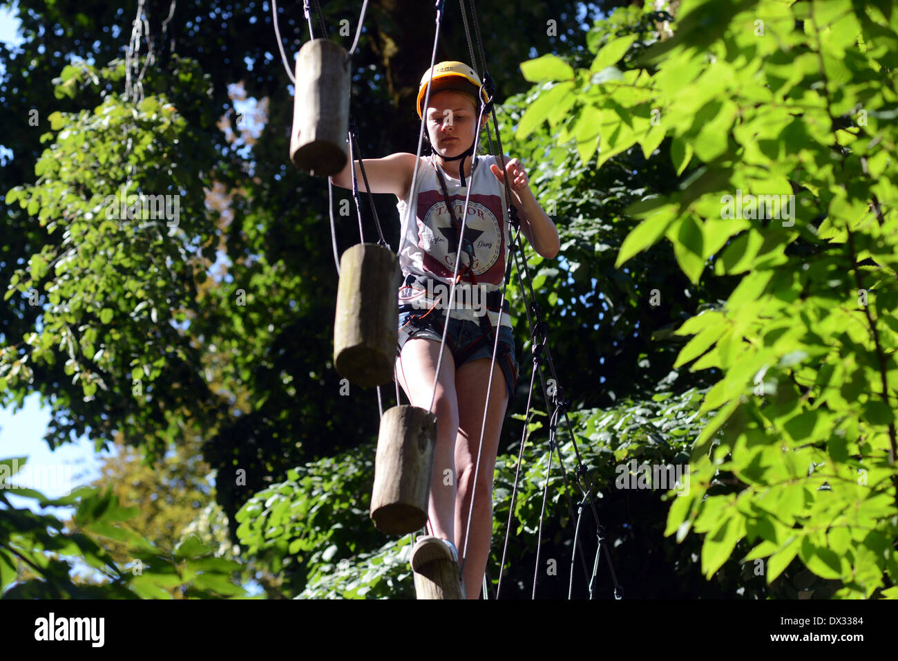 Tree walking with high ropes in Portugal Stock Photo Alamy