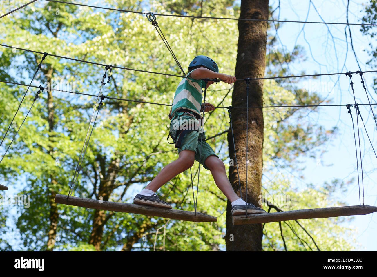 Tree walking with high ropes in Portugal Stock Photo Alamy