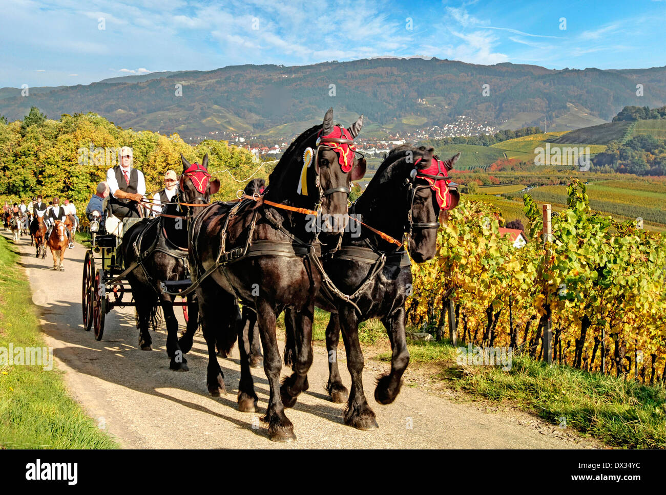 Horse Procession of the Black Forest Stock Photo